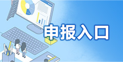 申報(bào)入口